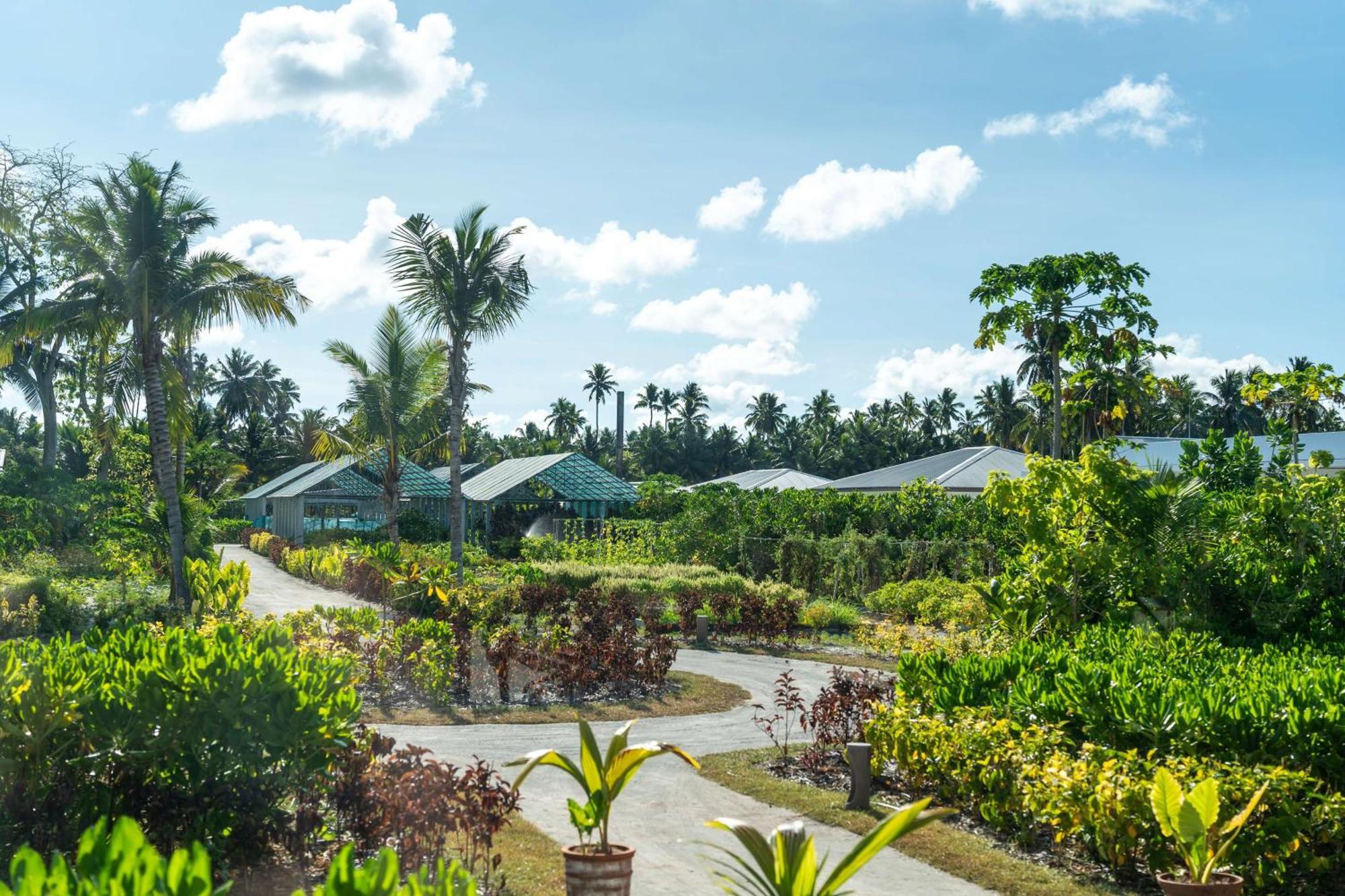Waldorf Astoria Seychelles Platte Island Hotel Luaran gambar